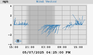 Wind Vector